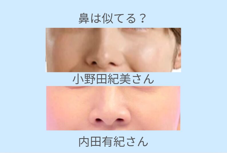 小野田紀美と内田有紀が似てる